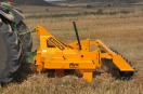 Ripuntatori diritti 3 file in linea telaio rigido 7 ancore stoppie meccanizzazione del suolo cereali NYX F Herederos de Manuel Gascon International macchine agricole
